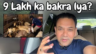 USA mei Bakra Mandi  9 Lakh ka bakra  Dr Mian Faisal  Sistrology [upl. by Annirok]