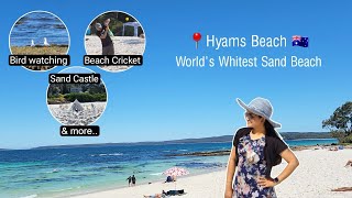 Hyams Beach 🇦🇺  Worlds Whitest sand beach 🏖 beach birdwatching australia [upl. by Guillemette]