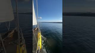 sailing over to the location sailing alaska sailinglife alaskacruise woodensailboat [upl. by Pembroke392]