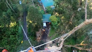 7 EXTREME Dangerous Tree Fails Compilation 2019 ¦¦ Tree Removal Fail ¦¦ Tree Falling in House [upl. by Anahtor]