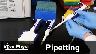 Pipetting Skills [upl. by Dodd]