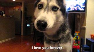 Mishka says quotI love you foreverquot  SUBTITLED [upl. by Asselam]