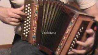 Swiss accordion trio Schwyzerörgeli trio [upl. by Atsyrk807]