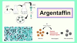 argentaffin [upl. by Emmey]