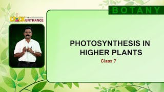 Free Entrance Coaching  Crack the Entrance Botany  Photosynthesis Higher Plants  Epi  07 [upl. by Jock]