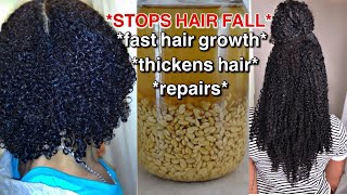 3 ways to use fenugreek seeds for FASTER hair growth stop hair fall [upl. by Llirrem220]