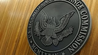 SEC  Security amp Exchange Commission  USA [upl. by Nisay]