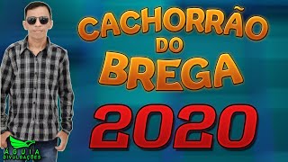 CACHORRÃO DO BREGA 2020  AOW PAIXÃO [upl. by Holloway]