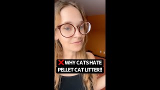 ❌ Stop Using Pellet Cat Litter [upl. by Fasto]