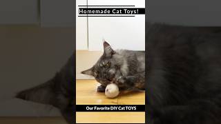 DIY Cat Toys Your Cat Will Go Crazy For 220 [upl. by Arakaj598]