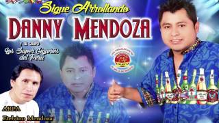 DANNY MENDOZA♫ DEJAME UN BESOSIENTO EN EL ALMA LA VIDA ES UNA ILUSIONMI MALA CABEZA™✔ [upl. by Atiken789]