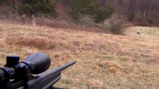 HUNTING DEER IN PENNSYVANIA 2023  TWO DEER DROP 2506 And 308 Savage Put Meat In The Freezer 🦌 [upl. by Ytsirc]