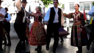 Danse folklorique Hongroise [upl. by Ilagam]