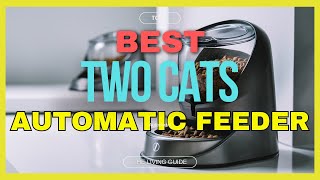 🔥 Best Automatic Cat Feeder for Two Cats in 2024 ☑️ TOP 5 ☑️ [upl. by Oralia]