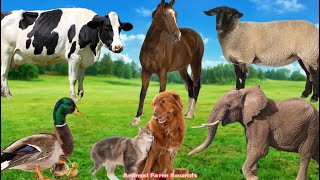 Wild Animal Sounds Cow Duck Dog Elephant Cat  Animal Videos [upl. by Ulphi]