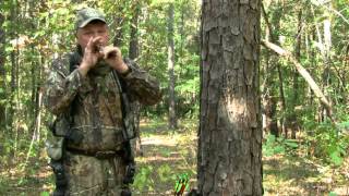 How To Call Deer In Early Season Eddie Salter [upl. by Bibi]