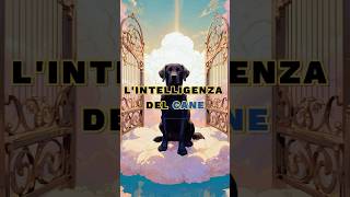 LIntelligenza Del Cane 🐕 motivazione lezionedivita saggezza [upl. by Ramsa]