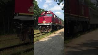 Agawa Canyon Tour Train Horn Show [upl. by Weixel541]