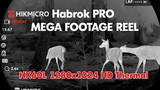 HikMicro Habrok PRO HX60L MEGA FOOTAGE REEL [upl. by Eeryk]