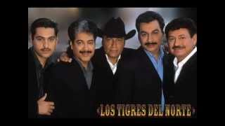 pa pistear tigres del NORTE MIX [upl. by Jabon65]