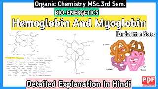 Hemoglobin And Myoglobin  Basic Concept  Structure And Functions  MSc3rd SemNotes  mscnotes [upl. by Notlek]