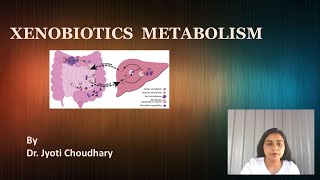 XENOBIOTICS METABOLISM [upl. by Mendie]