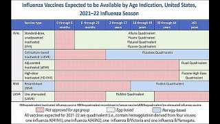 June 24 2021 ACIP Meeting  Influenza Vaccines [upl. by Enitsuj129]