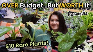 10 Rare Plants OVER BudgetBut WORTH It Plant Shopping amp Plant Haul Horrocks Nursery [upl. by Zink]