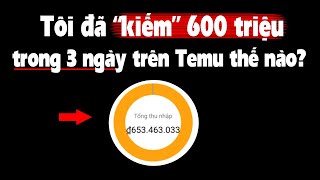 Tất cả sự thật về Temu [upl. by Adlecirg]