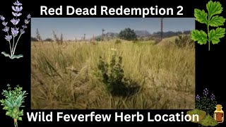 Red Dead Redemption 2 Wild Feverfew Herb Location PS5 [upl. by Hamachi]