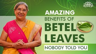 Discovering Betel Leaves Benefits  From Digestion to Skin Health  Natures Remedy  Dr Hansaji [upl. by Acie550]