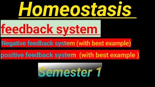 what is homeostasis  Function of homeostasis in human body [upl. by Huttan]