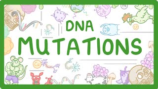 GCSE Biology  What are DNA Mutations 67 [upl. by Knarf]