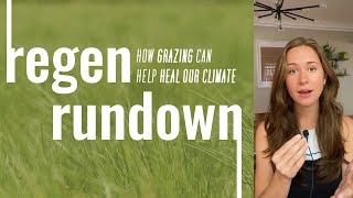 Regen Rundown How Grazing Can Heal Our Climate [upl. by Fredia671]