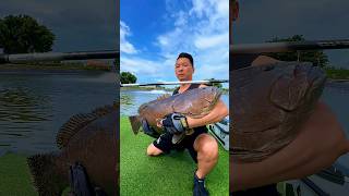 Brshi diye kto bro mach drlo dekon  Fishing Video fishingshorts fishing polofishing fish [upl. by Michella39]