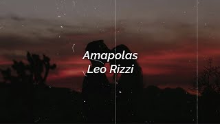 Leo Rizzi  Amapolas Lyrics  Acapella  Rvrb  8D [upl. by Sidran]