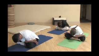 Makka Ho  Meridian Yoga  Meridian Stretching Exercises  HeartMindHealingArtscom [upl. by Suidaht]