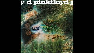 Pink Floyd  Syncopated Pandemonium [upl. by Eemak]