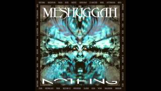 Meshuggah  Rational Gaze ﴾Ƨlow﴿ [upl. by Ecila144]