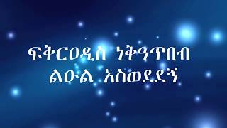 Fikeraddis Nekatibeb Leul Aswededgne ፍቅርአዲስ ነቃጥበብ ልዑል አስወደደኝ Lyrics Video [upl. by Ramsdell]