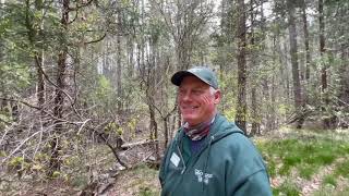 Hiking “River Trail” at Thousand Trails Yosemite Lakes RV Resort amp Campground And a school of Rain [upl. by Bellamy]