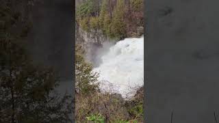 Winter falls 🥶 hiking nature waterfall adventure [upl. by Nyladnarb609]