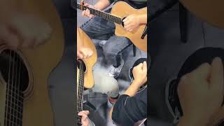 3 People Play One Guitar [upl. by Neff]