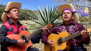 Dos Botellas de Mezcal  Dueto Campirano Hermelando y Mr H  Con Guitarras y Requinto rancheras [upl. by Adrell478]