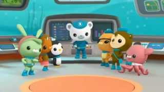 Octonauts  Creature Report  Sea Turtles [upl. by Carole460]