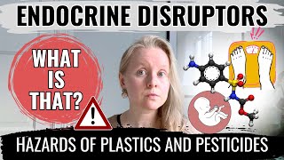 ENDOCRINE DISRUPTORS WHAT IS THAT HAZARDOUS TOXINS IN PLASTICS AND PESTICIDES HORMONAL DISORDERS [upl. by Elocan]