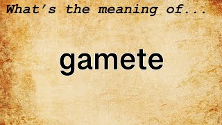 Gamete Meaning  Definition of Gamete [upl. by Cromwell]