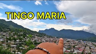 TINGO MARIA PERÙ 🇵🇪 conociendo la montaña BELLA DORMIENTE [upl. by Anastasie]