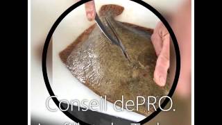 Conseil de PRO Le TURBOT Le Filet [upl. by Enialb]