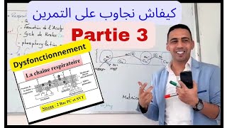 chaine respiratoire dysfonctionnement phosphorylation oxydative كيفاش نجاوب على التمرينPartie 3 [upl. by Goodden]